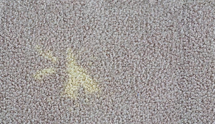 Bleach spot on the carpet