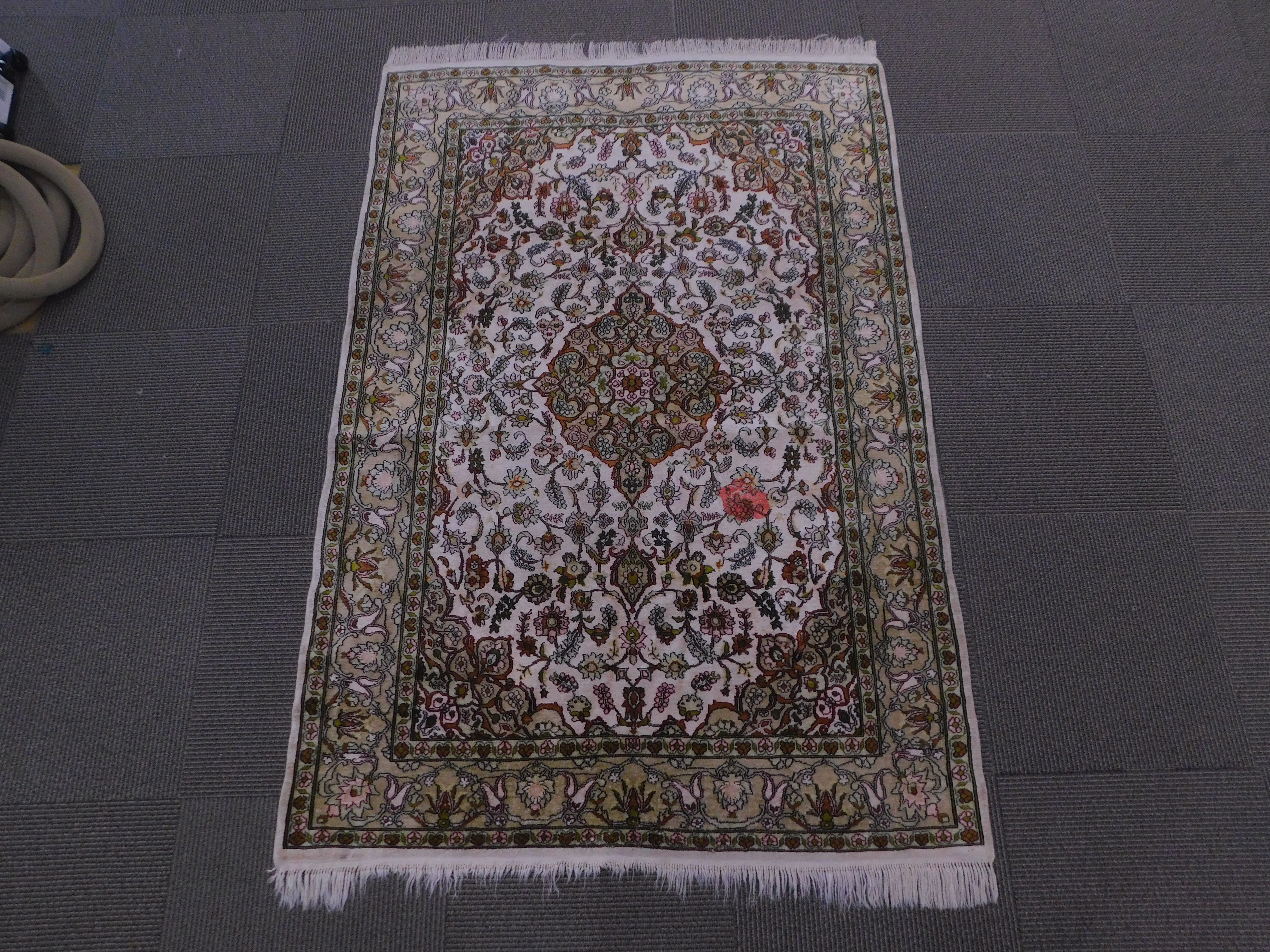 Rug before cleaning 2