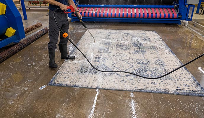 Professional rug cleaning