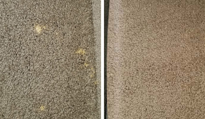 Before After Dying Carpet
