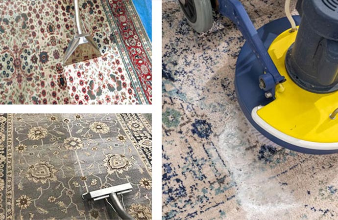 Best Cotton Area Rug Cleaning