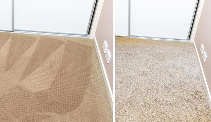 Professional carpet dyeing and restoration services for revitalizing worn-out carpets.