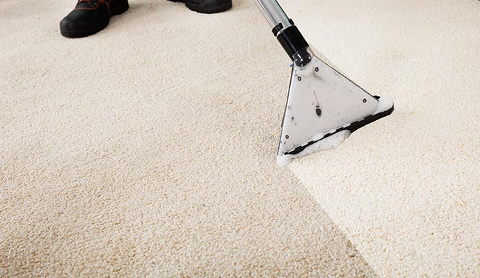 Professional carpet cleaning with a vacuum cleaner