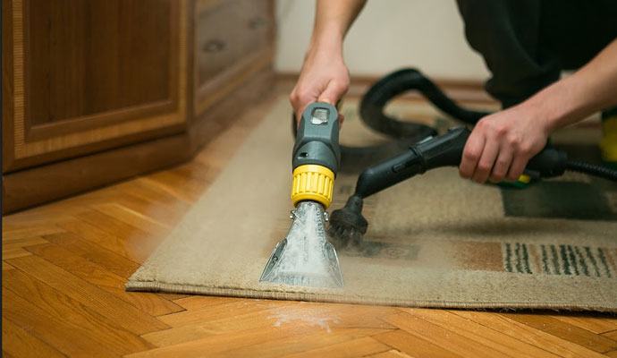 Cleaning and Maintaining Sisal Rugs