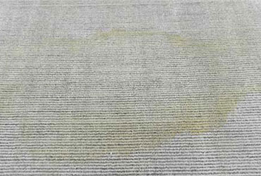 Pet Urine Rug Cleaning Before