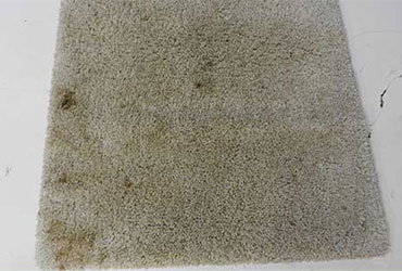  Cleaning Grass Stains on Rugs Before