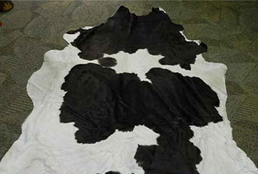 Cowhide Rug Cleaning