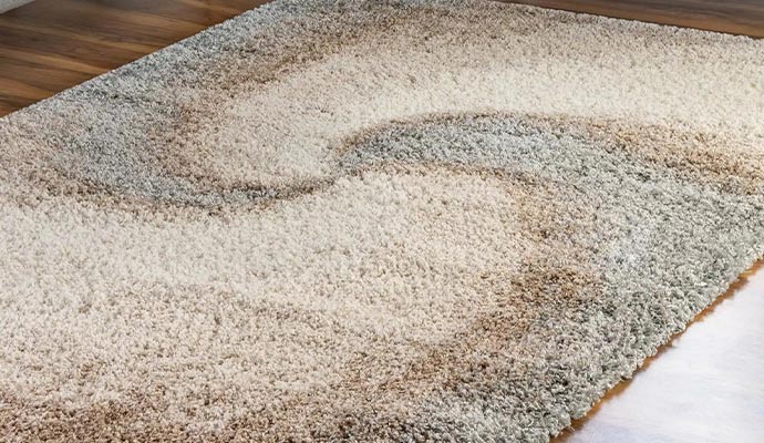 Floor area rug cleaning service