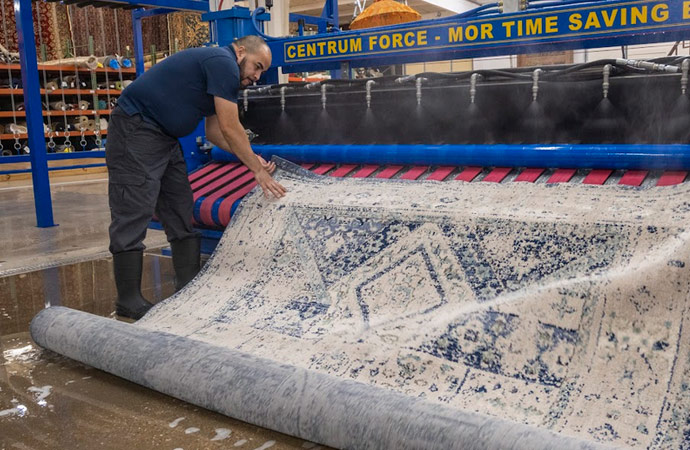 Professional worker cleaning rug