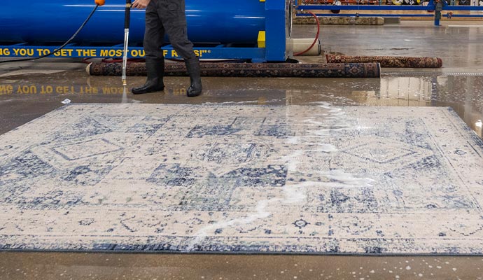 person cleaning rug