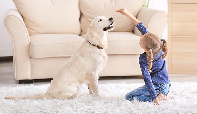 A kid playing with her pet on rug