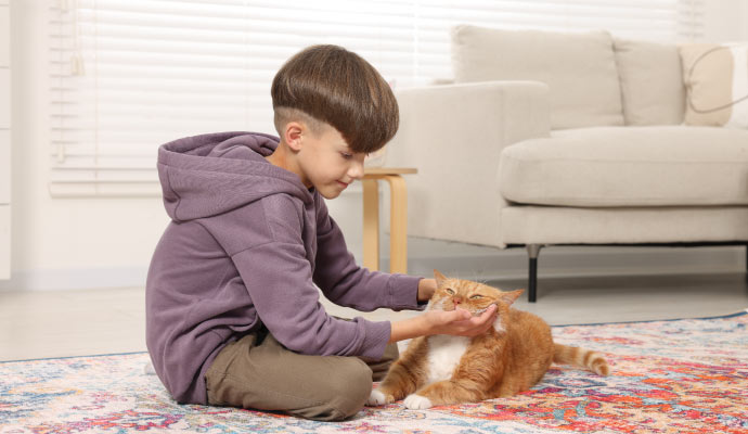 A pet sleeping on rug