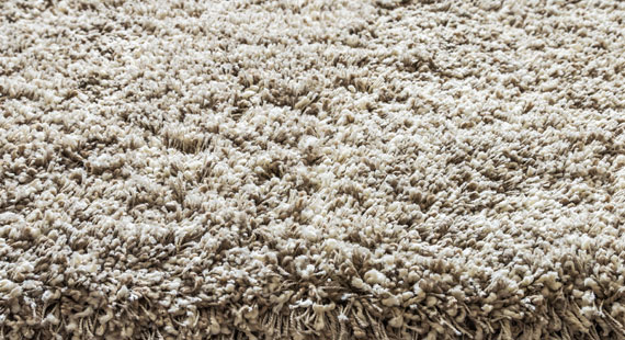 pile tufted rug