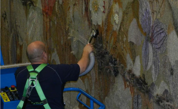 Professional Carpet cleaning