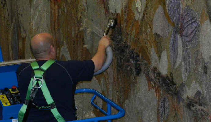 Professional Carpet Stain Removal