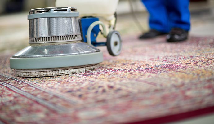 Vacuuming a clean floor with a regular vacuum cleaner.