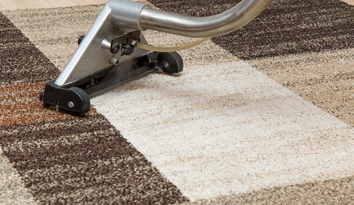 Professional cleaner cleaning area rug