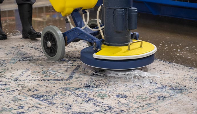 Person cleaning a rug using equipment