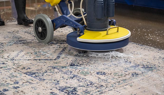 Rug deep cleaning