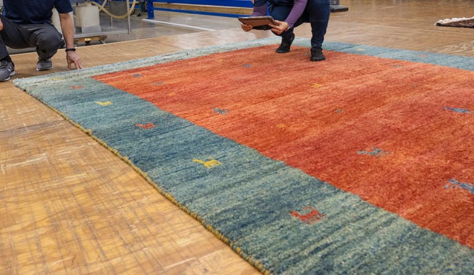 inspecting rug with device