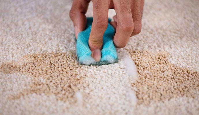 Rug Stain Removal Service in Edmonton