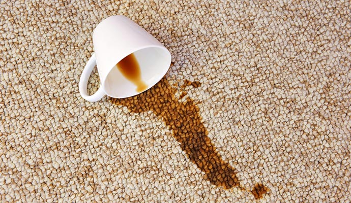 Rug Stain Removal Service in Edmonton