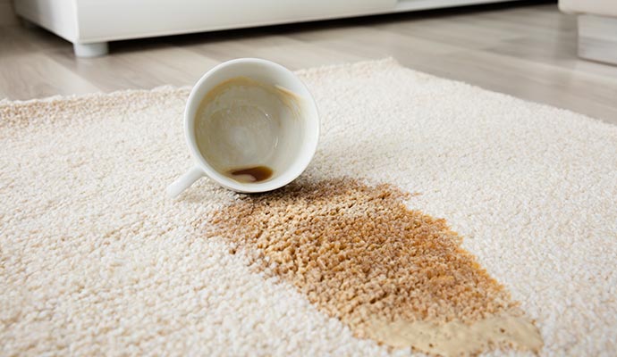 Visible coffee stain on the rug