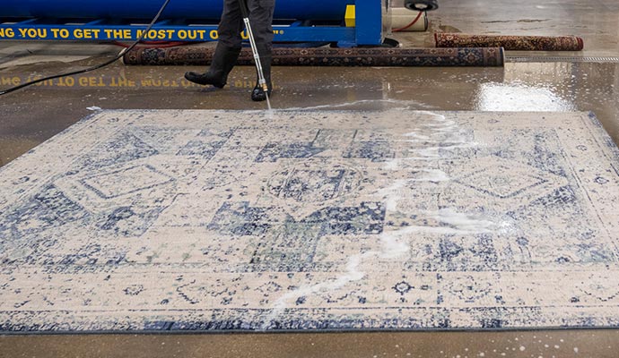 Professional worker spraying on rug